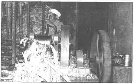 Tabla I  Rendimiento óptimo que se  debería obtener de la caña.