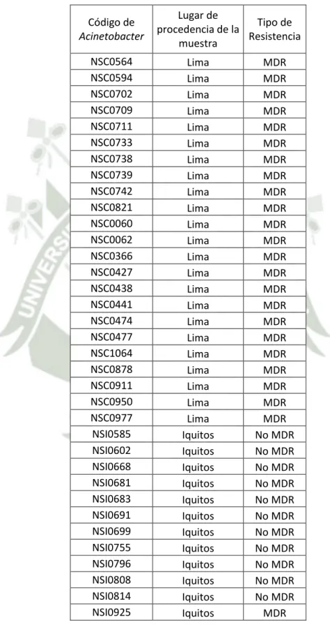 Tabla 3: Cepas de Acinetobacter baumannii del NAMRU-6 