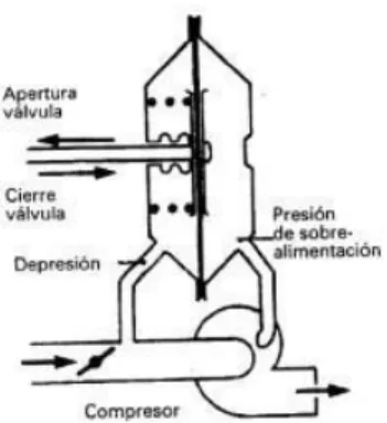 Figura 10. Capsula de regulación. 