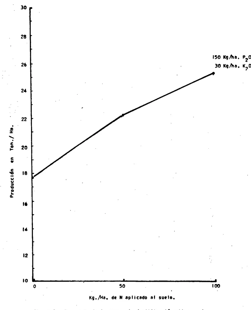 Figura  2.—  Respuesta de la papa a la fertilización nitrogenada.