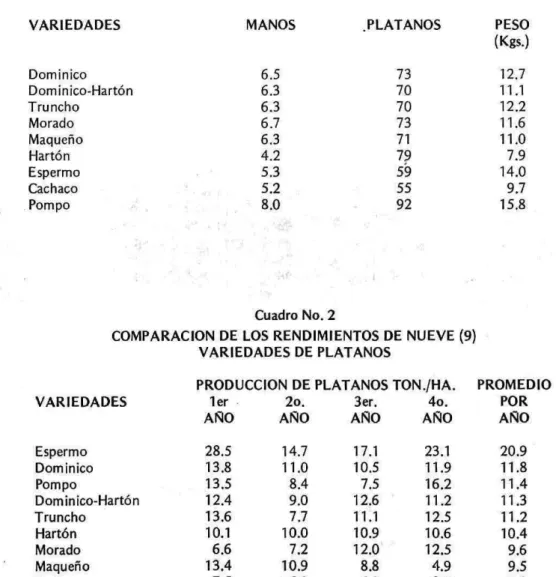 Cuadro No. 1