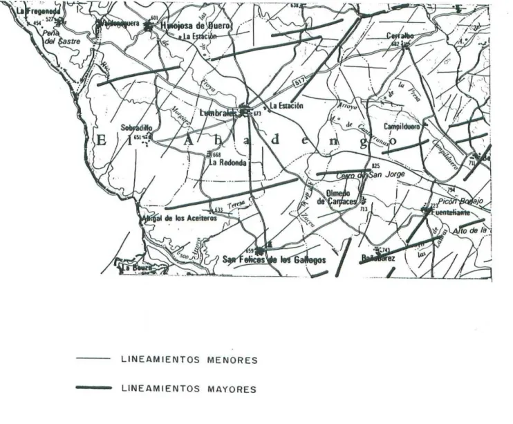 Fig. 1 Mapa de Lineamientos