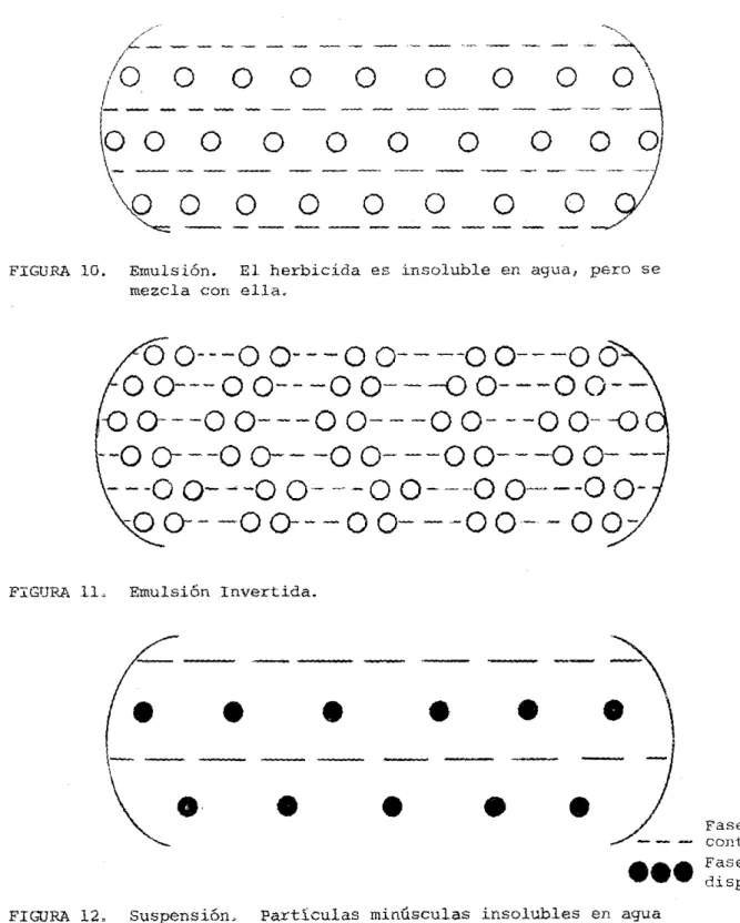 FIGURA  11,  Emulsión  Invertida. 