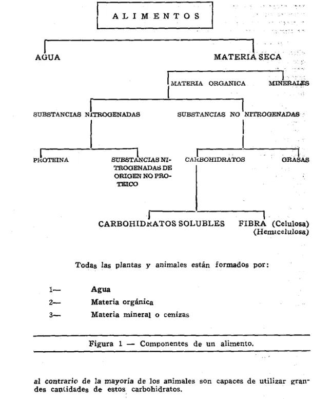 Figura  1  - Componentes  de  un  alimento. 