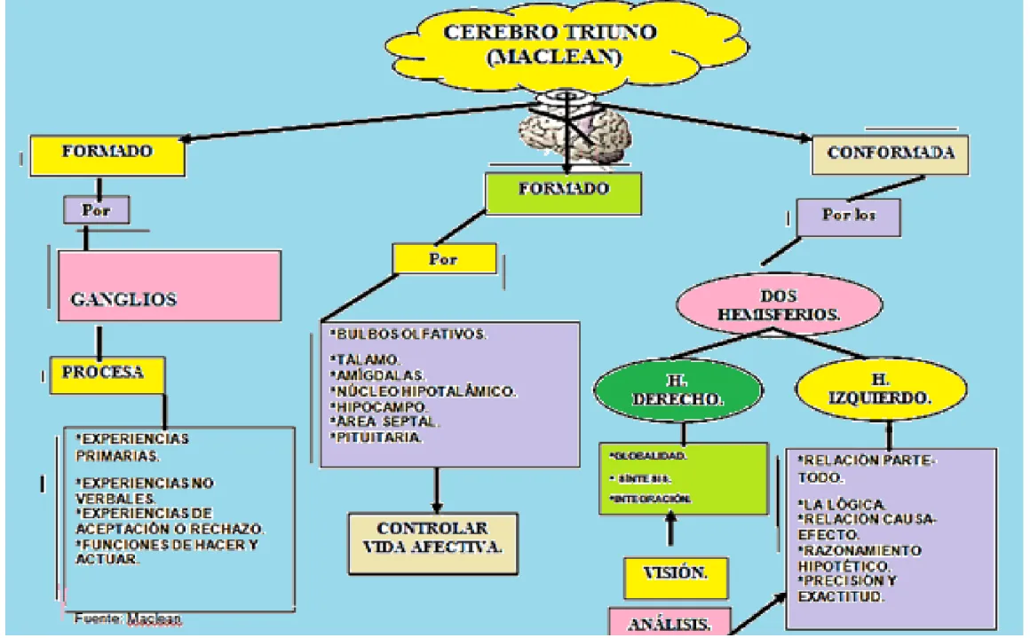 Figura 2: Cerebro triunfo 