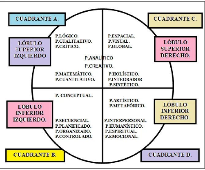 Figura 3. Cerebro total 