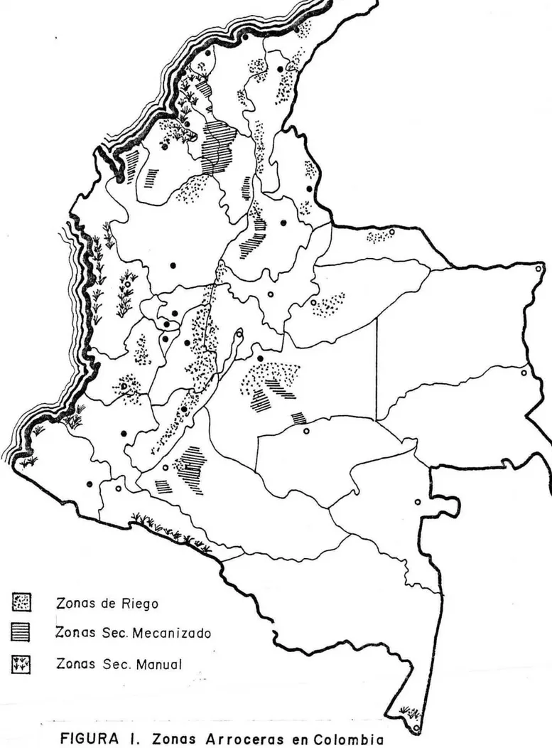 FIGURA I. Zonas Arroceras en Colombia 