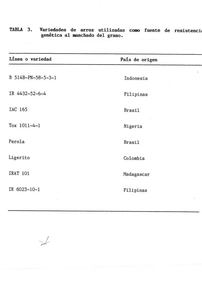 TABLA 3. Variedades de arroz utilizadas como fuente de resistencia  gentica al manchado del grano