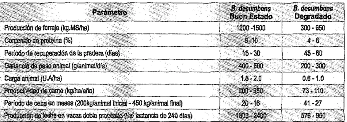 Tabla 5.9.  Indicadores  de productividad  en  praderas de  B.  decumbens  en buen estado  y  praderas  degradadas  en la  Orinoqula