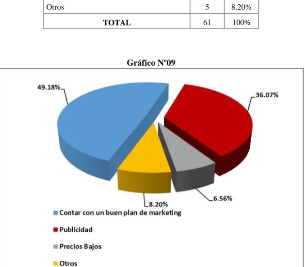 Gráfico Nº09 