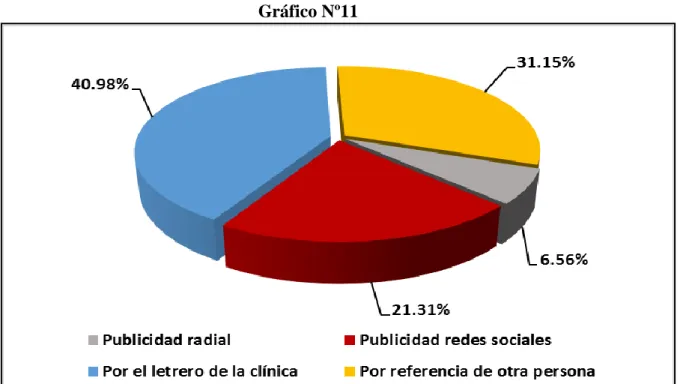 Gráfico Nº11 