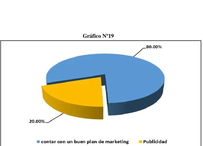 Gráfico Nº19 