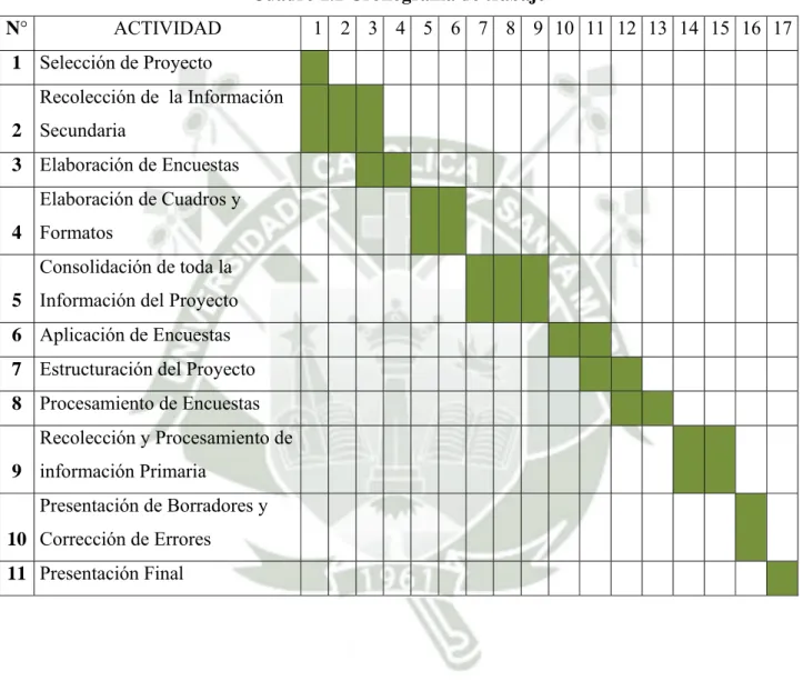 Cuadro 1.1 Cronograma de trabajo 