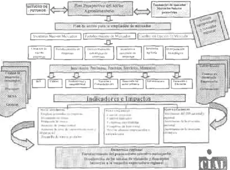 Figura  3. Esquema  del plan  estratég¡co  de acción  el microcluster  de Frutas  y