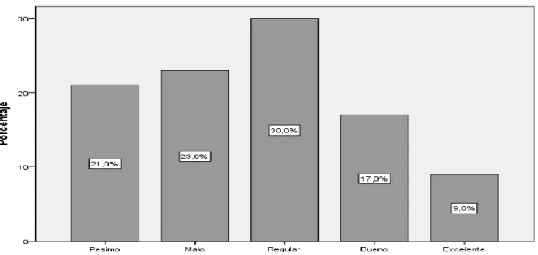 GRÁFICO N° 5 