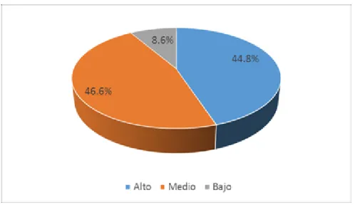 Figura 2 : Nivel de uso de las TICs 