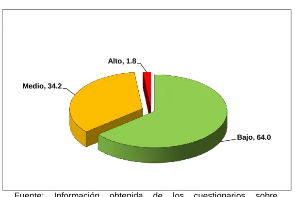 GRÁFICO N° 01 