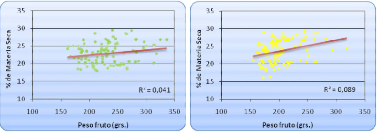 Gráfico  5.  Relación  entre  tamaño  de  fruto  y  contenido  de  materia  seca  en  un  huerto de la Región Metropolitana (izquierda) y la VI Región (derecha) de Chile,  temporada 2006/2007