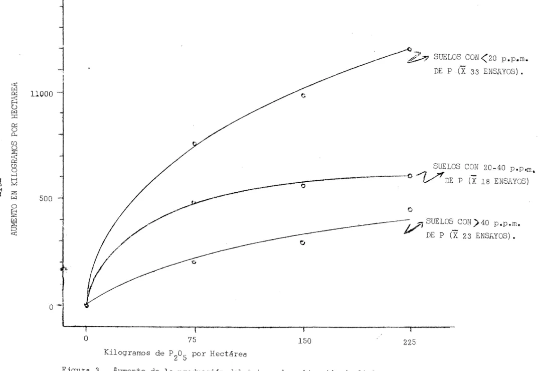 Figura 3. Aumento de la producción del trigo ala aplicación de fósforo, de acuerdo al contenido de este elemento en el suelo, segón Bray 11 (1961_1965)