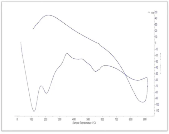 Figura N° 2: Foto del análisis de térmico por calorimetría diferencial de barrido DSC/Análisis térmico 