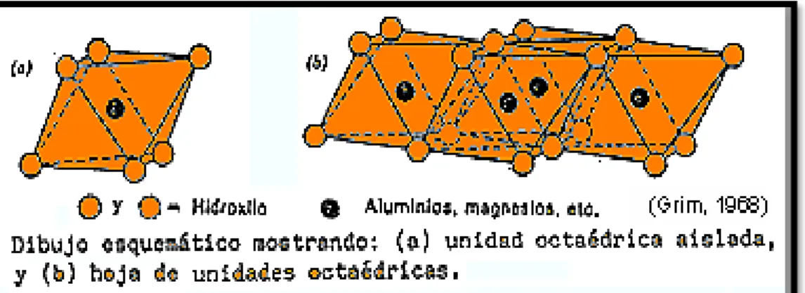 Figura 03 – Estructuración de las arcillas (octaedros). 