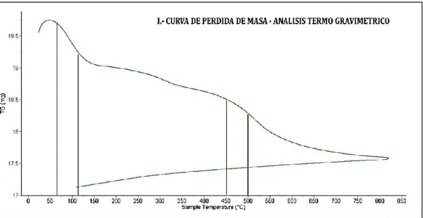 Figura 04 – Curva de pérdida de masa. 
