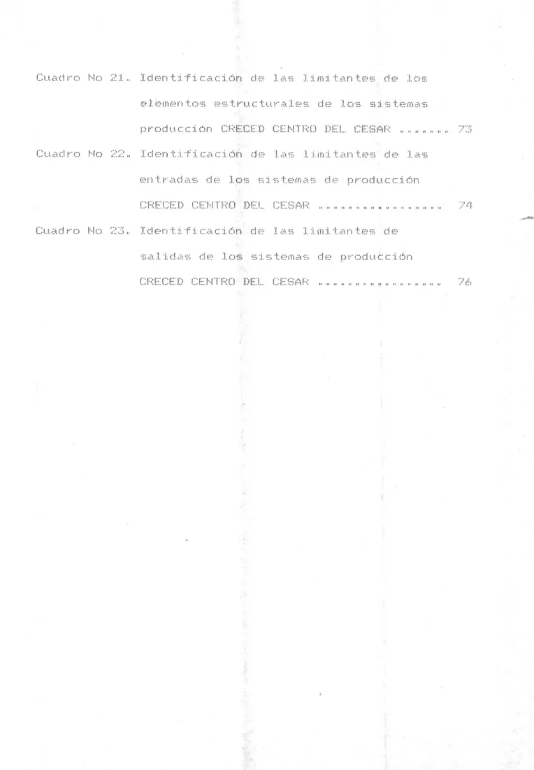 Cuadro No 21. Identificación ci ':::  las limitantes de los estructurales