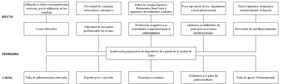 Gráfico 1: Árbol de problemas