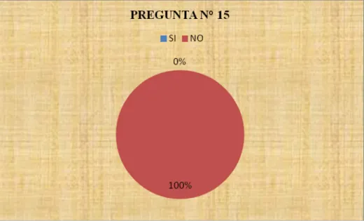 Gráfico 15.IV.- Resultado de la pregunta N° 15 