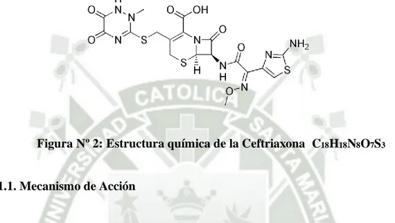 Figura Nº 2: Estructura química de la Ceftriaxona  C 18 H 18 N 8 O 7 S 3