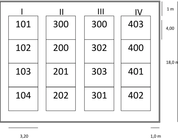 FIG. 01. Campo experimental – quinua  101 I 300 300  403 102 II 200 302 400 103 III 201 303 401 IV 202 301 402 104  1 m  4,00  18,0 m 1,0 m 17,80 m 3,20 