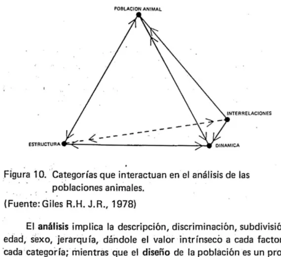 Figura  1 , 0.  Categorías que interactuan en el  análisis de las  _ poblaciones animales