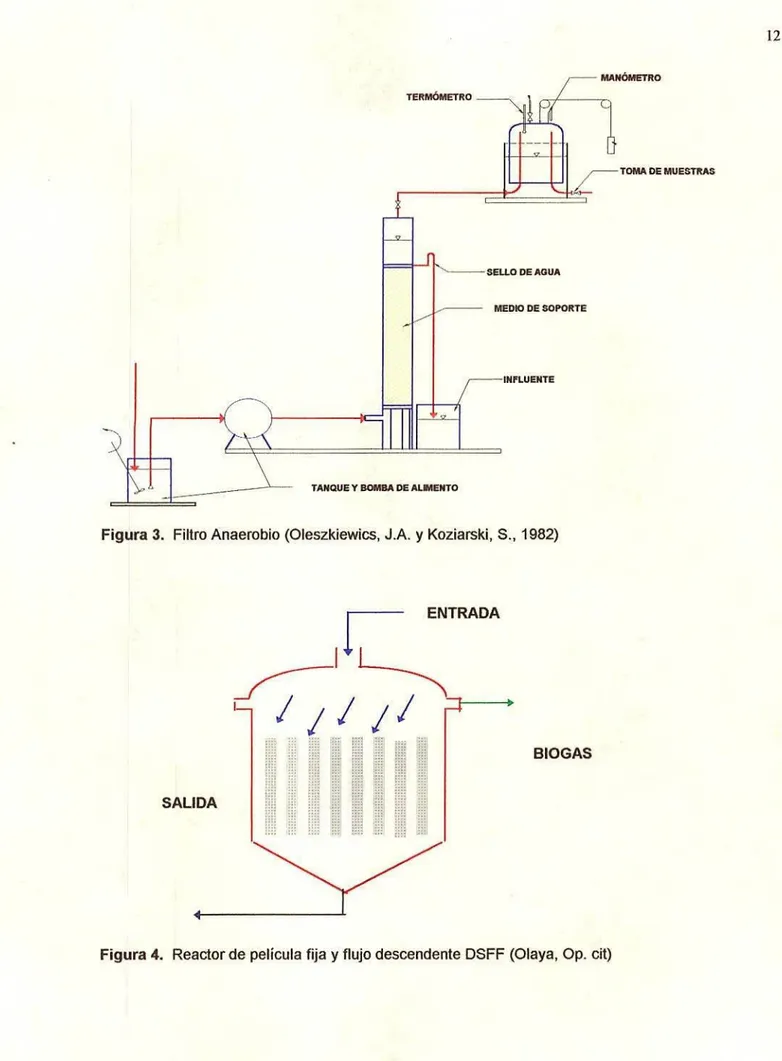 Figura 3. Filtro Anaerobio (Oleszkiewics, J.A. y Koziarski, S., 1982) TOMA DE MUESTRAS ENTRADA 11j1 BIOGAS SALIDA