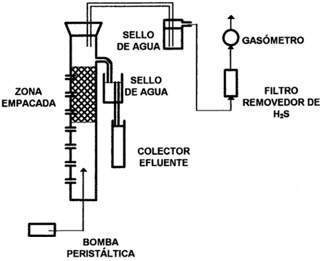 Figura 8. Reactor híbrido UBF. (Gulot. et Al, 1985)