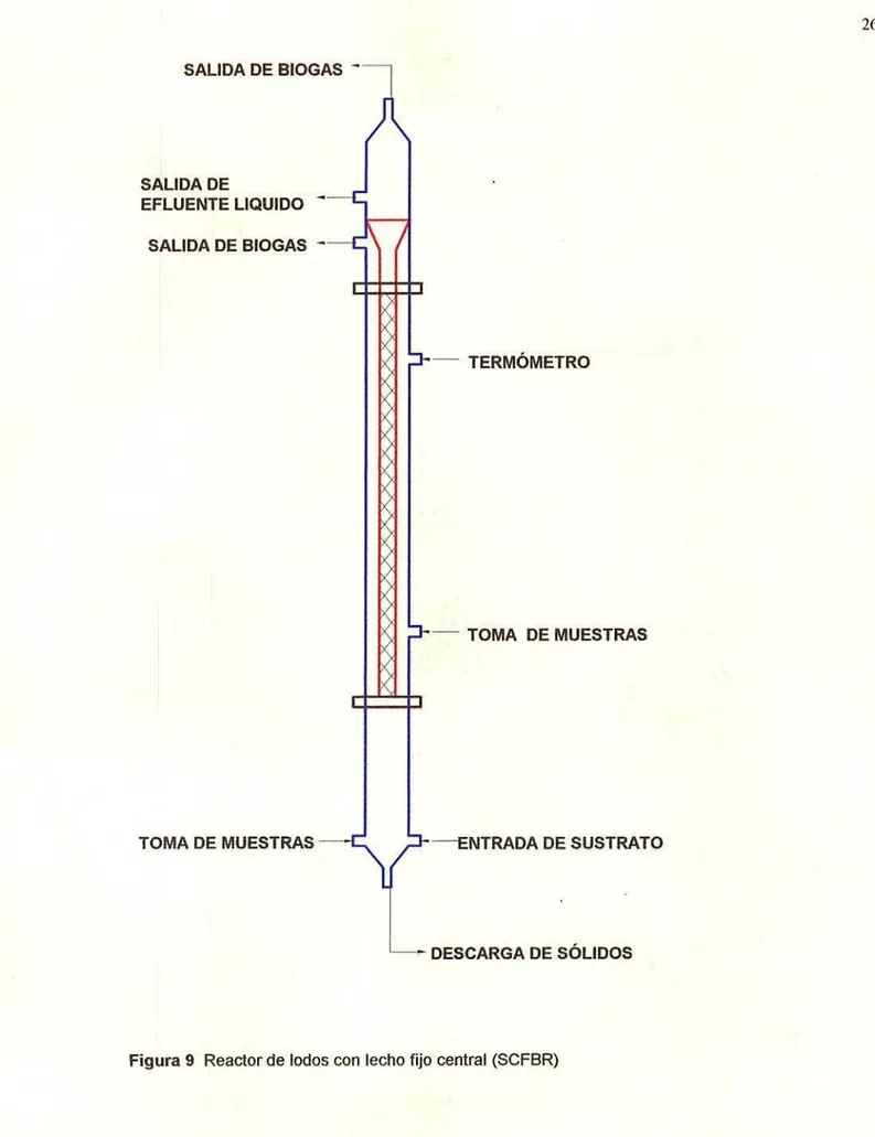 Figura 9 Reactor de lodos con lecho fijo central (SCFBR)