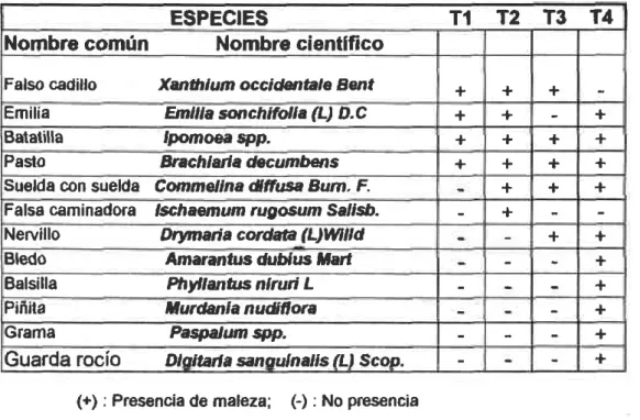 TABLA 5 .  Especies de mal€zas por tratamiento.  Febrero de 1997