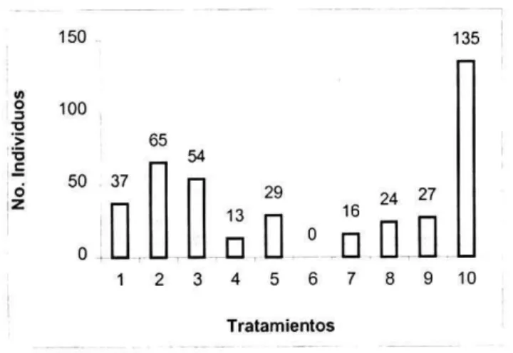 Figura 9. Población de  Hymenoptera  en el cultivo experimental de plátano