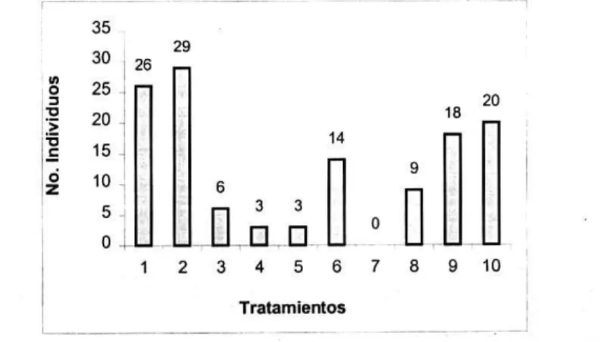 Figura 10. Población de Colembolla en el cultivo experimental de plátano