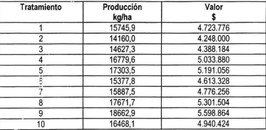 Tabla 5. Rendimiento y valor de la producción durante el primer ciclo