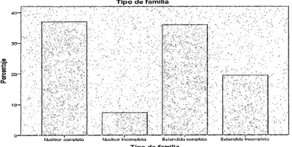 Figura 4:  Representación de la  muestra por  tipo de familia 