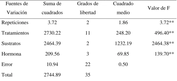 CUADRO  1: ANÁLISIS DE LA VARIANZA PARA LA VARIABLE DÍAS  A  LA FORMACIÓN DEL CALLO 