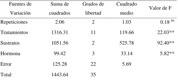 CUADRO  9: ANÁLISIS DE LA VARIANZA PARA LA VARIABLE DÍAS A   LA FORMACIÓN DE LA PRIMERA RAÍZ 
