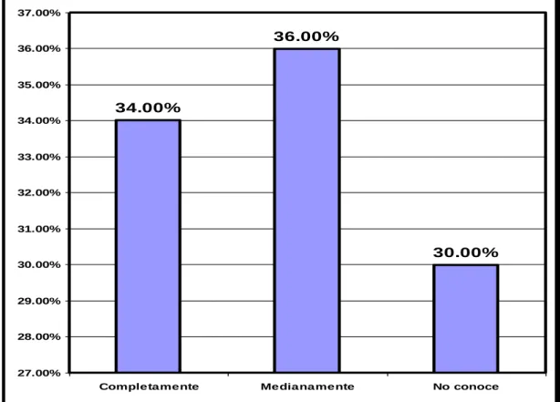 GRÁFICO Nº 04 