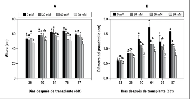 Figura 1.  A. Altura y B. Diámetro del pseudotallo de plantas de cebolla sometidas a concentraciones crecientes de  NaCl