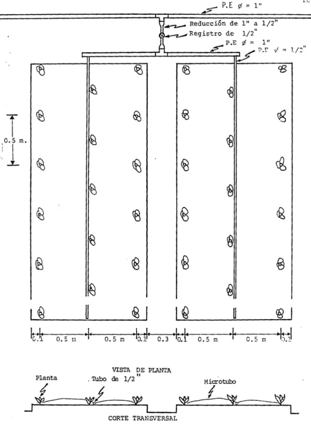 Fig.  3.  DISPOSICION  DEL  SISTEMA  EN  LA  PARCELA 