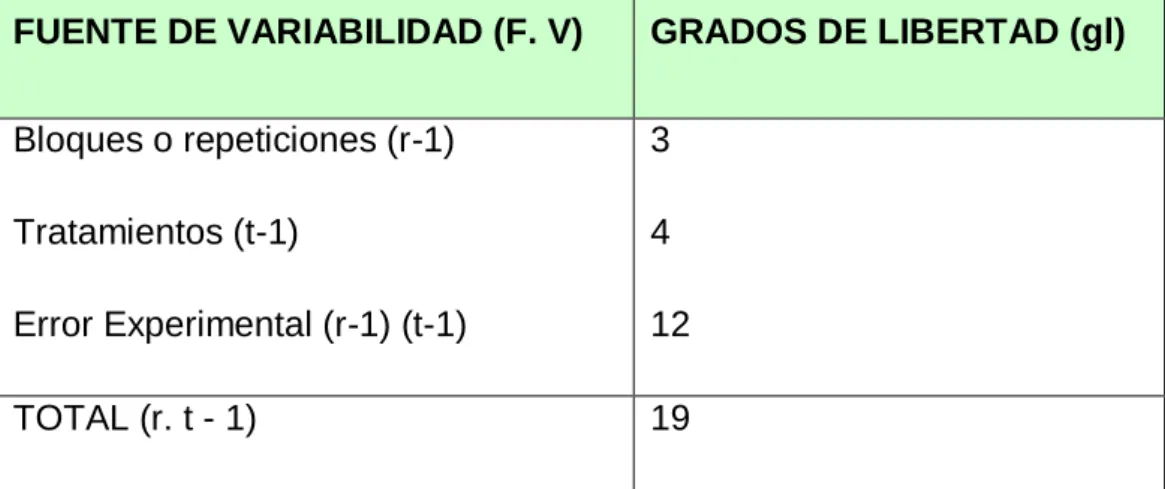 Cuadro Nº 4. Esquema de análisis. 