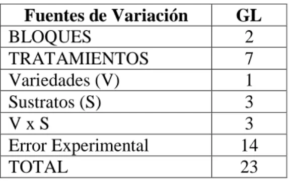 Tabla 5. Análisis de varianza del ensayo  Fuentes de Variación  GL  BLOQUES  2  TRATAMIENTOS  7  Variedades (V)  1  Sustratos (S)  3  V x S  3  Error Experimental  14  TOTAL  23  3.7 Tratamientos 