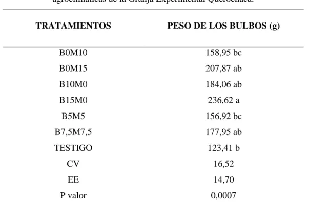 Tabla 12.- Peso de los bulbos de la cebolla (Allium cepa L.) bajo las condiciones  agroclimáticas de la Granja Experimental Querochaca