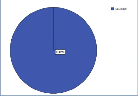 GRÁFICO N°5 