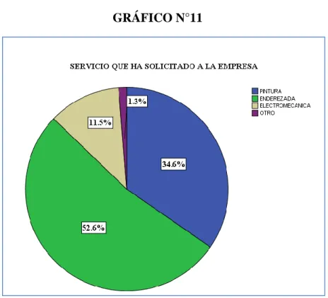 GRÁFICO N°11 